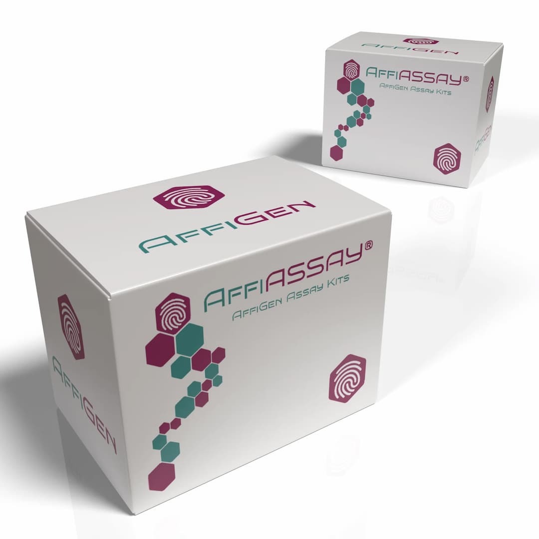 AffiASSAY® Acetate Colorimetric Assay Kit