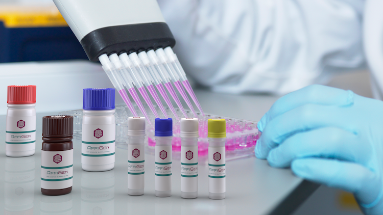 Optimizing Oxygenase Heme ELISA Kits for Accurate Results